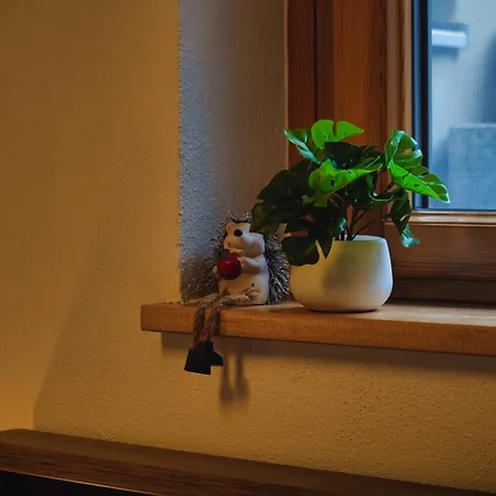 Ruhige Lage, Alpen & Naehe Apartman Kochel am See