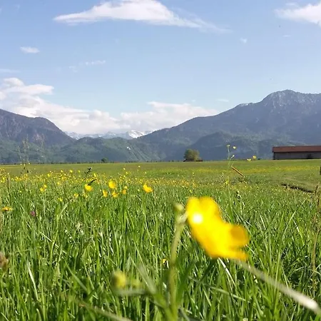 Ruhige Lage, Alpen & Naehe Apartman Kochel am See